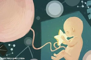 周顾问